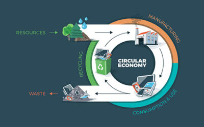 What is circular economy, and why is it crucial for building a greener future?